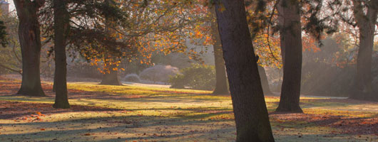 【APP Store】认证的ddos压力在线测试平台